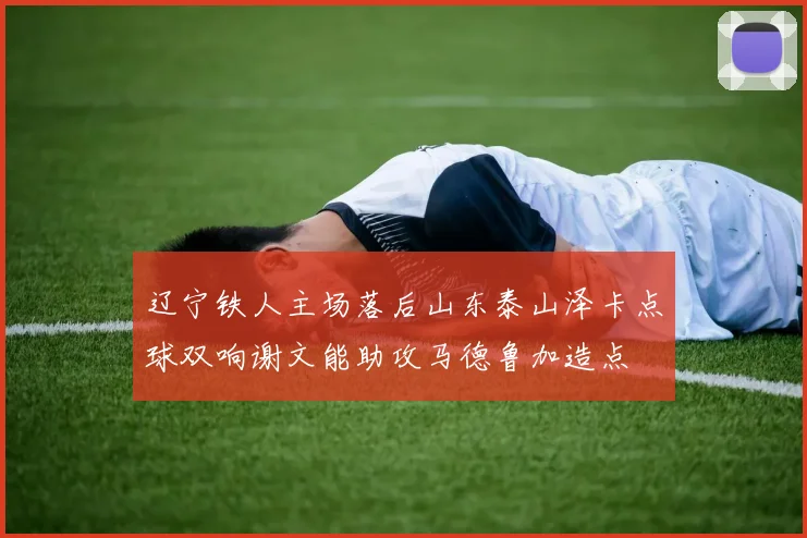 辽宁铁人主场落后山东泰山泽卡点球双响谢文能助攻马德鲁加造点